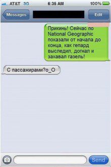 gazel.jpg