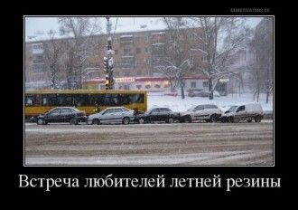10984885.JPG