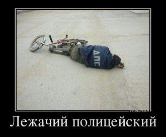 56580404_lezhachij-politsejskij.jpg