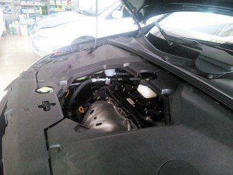 IMG_20140531_130625.jpg
