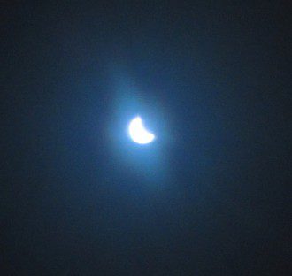 IMG_2310.JPG