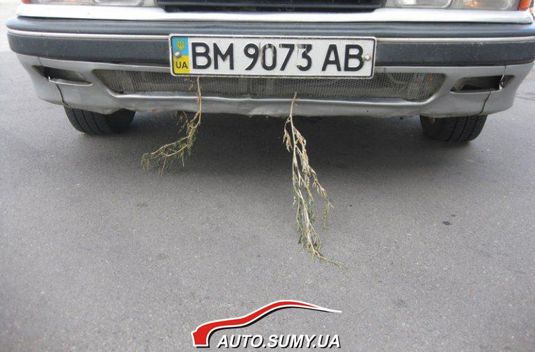 Травоморда