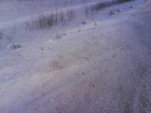 DSC00311