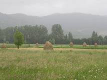 IMG 6239