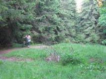 IMG 6459