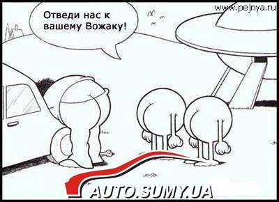 жопа.jpg